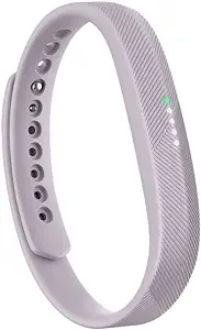 Fitbit Flex 2 | for Small Wrists |