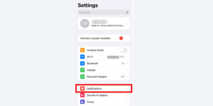 How Do You Block Apps on an iPhone ( Disabling App Notifications )