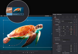 Alternatives to Adobe Creative Cloud (  DaVinci Resolve )