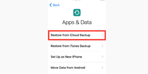 Retrieve Deleted Voicemail using iCloud Backup