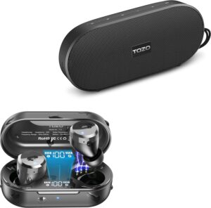 True Wireless Earbuds (TOZO T12)