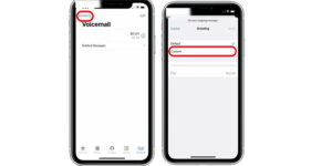 Tap "Greeting" and choose "Custom" to record your message.
